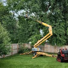 Best Sod Installation  in Waupaca, WI